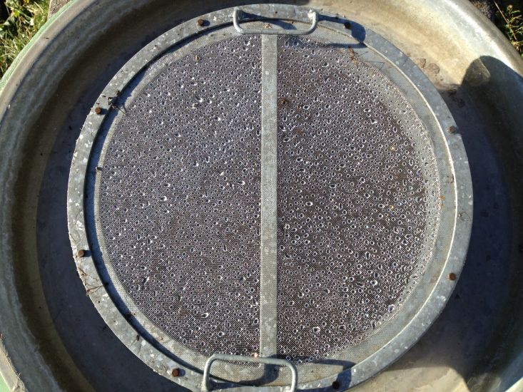 Impressionen-Wasserversorgung-Jonatal-Wald-0232