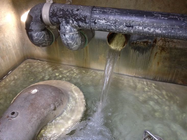 Impressionen-Wasserversorgung-Jonatal-Wald-1445