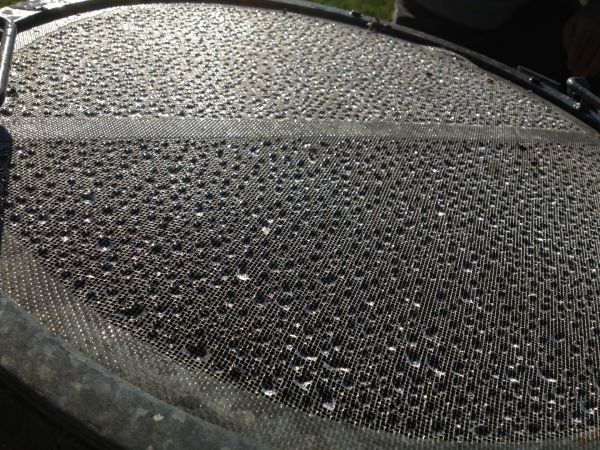 Impressionen-Wasserversorgung-Jonatal-Wald-0231