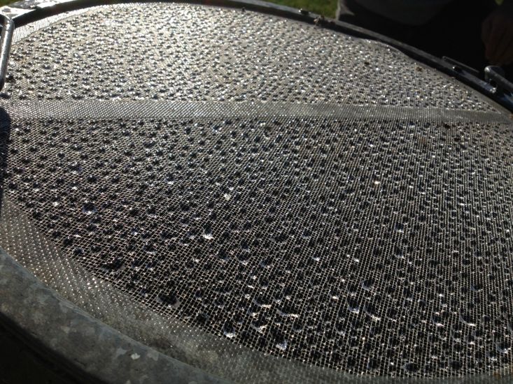 Impressionen-Wasserversorgung-Jonatal-Wald-0231