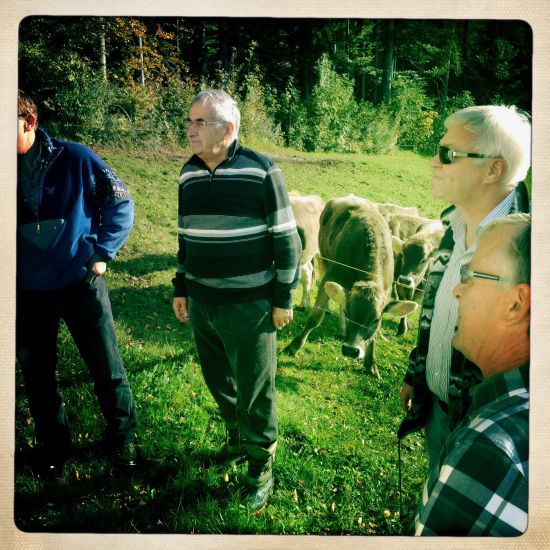 Impressionen-Wasserversorgung-Jonatal-Wald-7526